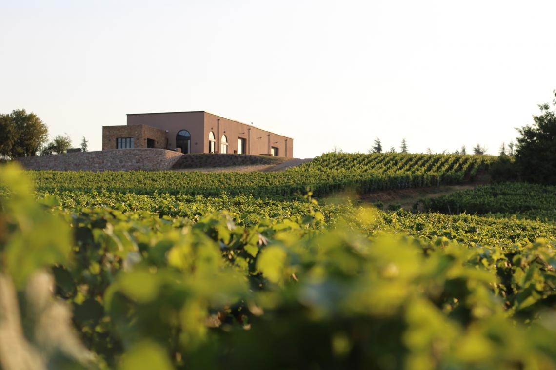 Le domaine et ses vignes — Domaine Tupinier Bautista